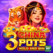 3 China Pots
